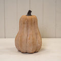 The Amber Stem Pumpkin