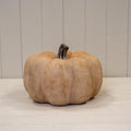 The Golden Hour Pumpkin