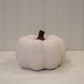 The Cotton White Pumpkin