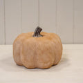 The Harvest Blush Pumpkin