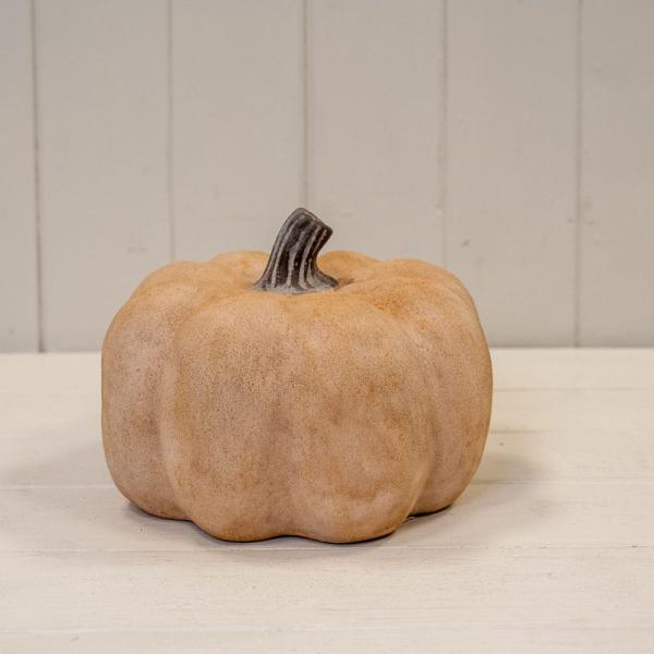 The Harvest Blush Pumpkin