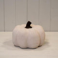 The White Harvest Pumpkin
