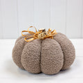 The Harvest Softness Pumpkin