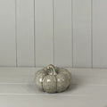 The Autumn Pearl Pumpkin