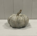 The Harvest Heirloom Pumpkin