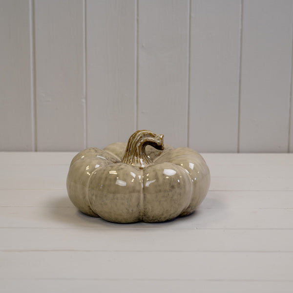 The Autumn Mottle Pumpkin
