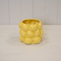 The Lemon Grove Pot