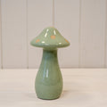 The Little Sage Spotted Mushroom