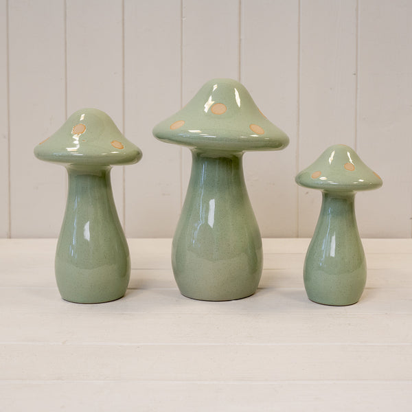 The Tall Sage Spotted Mushroom