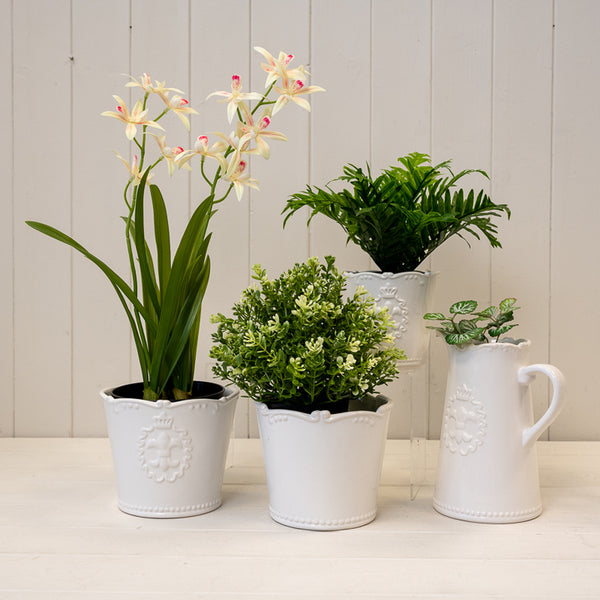 The Fleur-De-Lis Jug